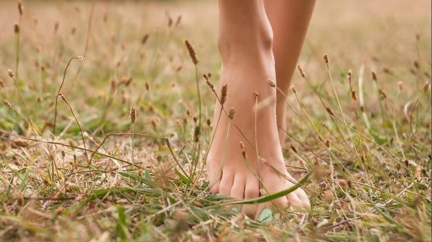 Bare feet walking through sunlit grass and wild meadow plants, showing a calm, natural connection with the earth.
